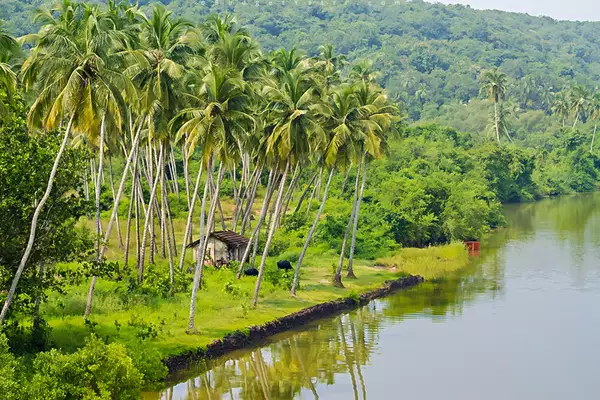 The Konkan Region